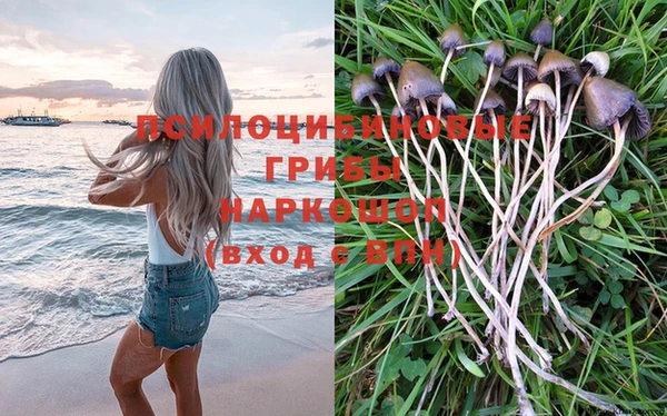 PSILOCYBIN Абаза