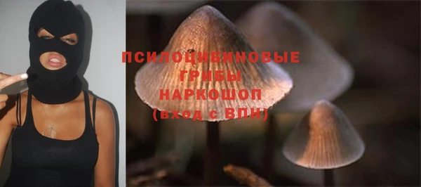 PSILOCYBIN Абаза