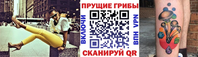 купить  цена  Сорск  Галлюциногенные грибы Magic Shrooms 