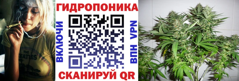 Бошки Шишки SATIVA & INDICA  как найти наркотики  Сорск 